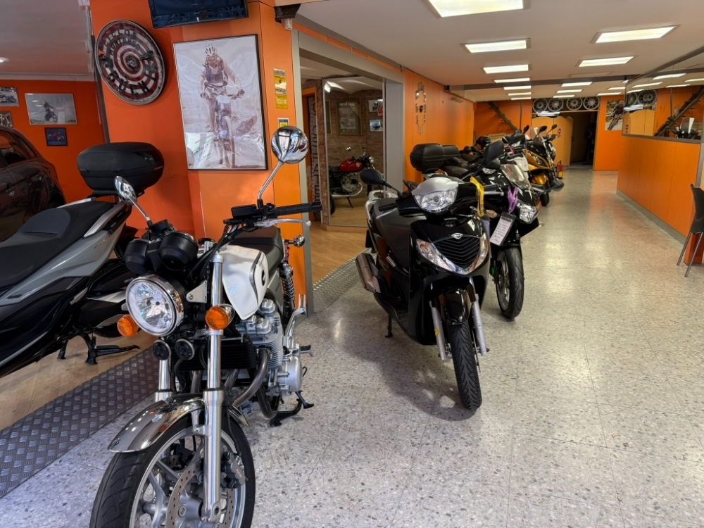 Honda FES 125/SH 125/Dylan 12 SH 125 i (JF14) foto 19